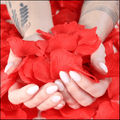 Red Rose Petals – 500 Lifelike Petals for Romantic Gift Presentations